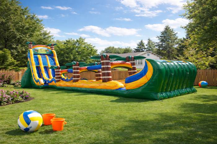 Slides - Wet/Dry Slides - Wet/Dry