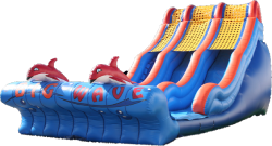 Big Wave Dual Lane Slide Big Wave Dual Lane Slide