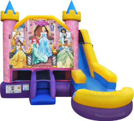 Disney Princess 6 in 1 (New 2023) - $399