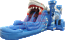 Shark Combo Dual Slide