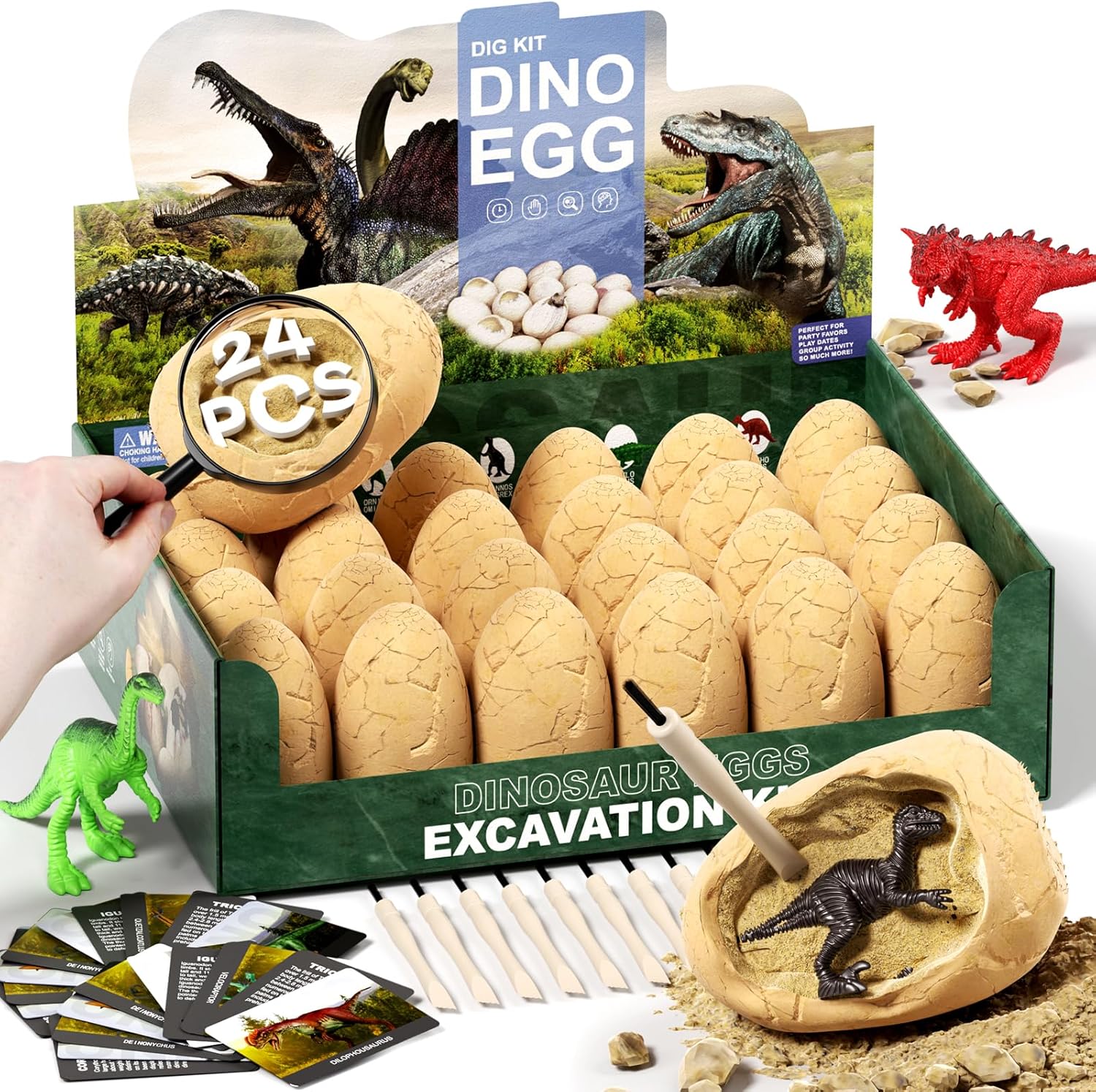 24 Dinosaur Eggs