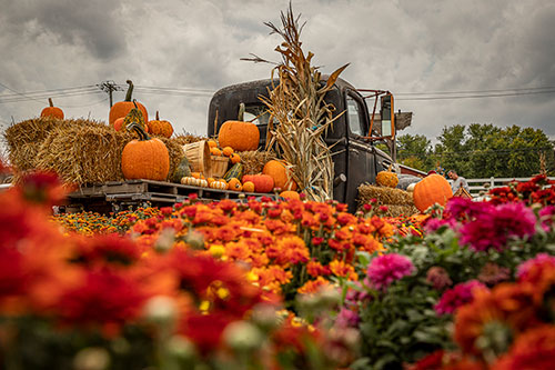 Autumn party rentals in New England